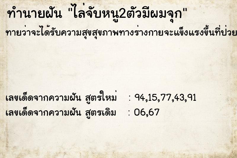 ทำนายฝันไล่จับหนู2ตัวมีผมจุก ทำนายฝันทำนายฝันไล่จับหนู2ตัวมีผมจุก