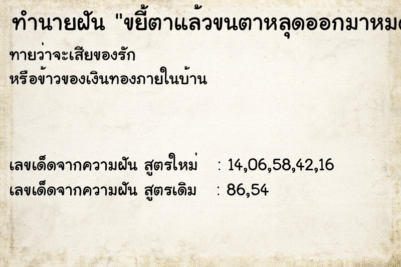 ทำนายฝันทำนายฝันขยี้ตาแล้วขนตาหลุดออกมาหมด