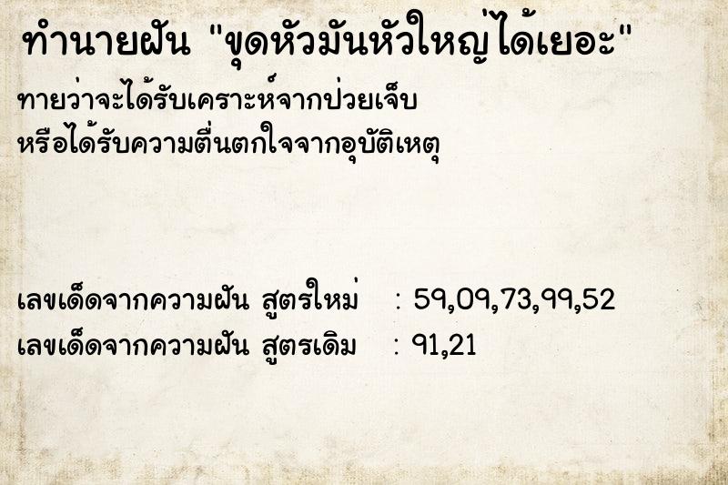 ทำนายฝันทำนายฝันขุดหัวมันหัวใหญ่ได้เยอะ