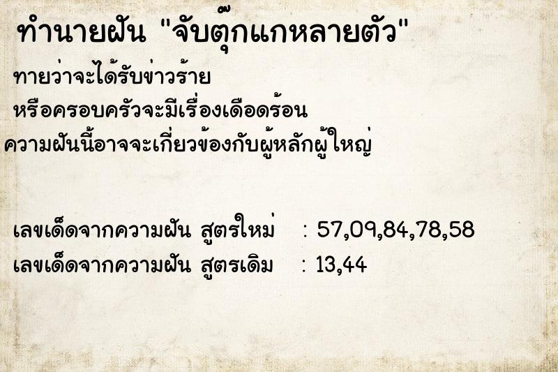 ทำนายฝันจับตุ๊กแกหลายตัว ทำนายฝันทำนายฝันจับตุ๊กแกหลายตัว