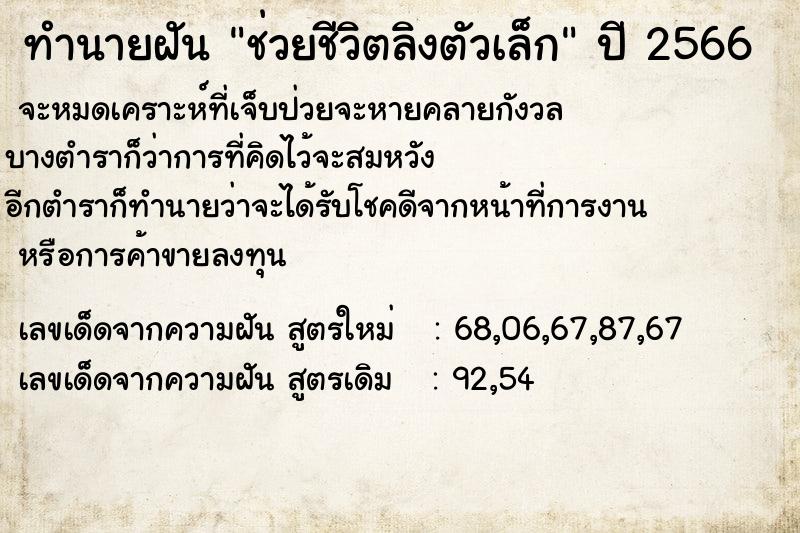 ทำนายฝันช่วยชีวิตลิงตัวเล็ก ทำนายฝันทำนายฝันช่วยชีวิตลิงตัวเล็ก