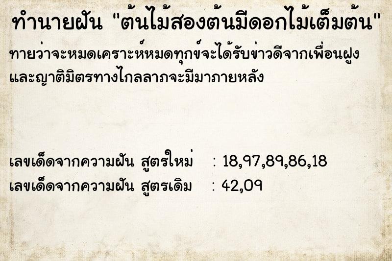 ทำนายฝันต้นไม้สองต้นมีดอกไม้เต็มต้น ทำนายฝันทำนายฝันต้นไม้สองต้นมีดอกไม้เต็มต้น