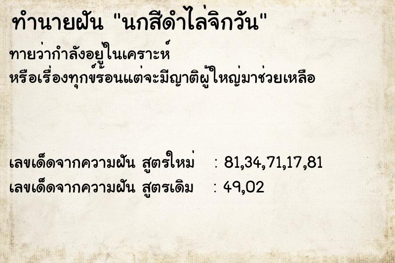ทำนายฝันนกสีดำไล่จิกวัน ทำนายฝันทำนายฝันนกสีดำไล่จิกวัน