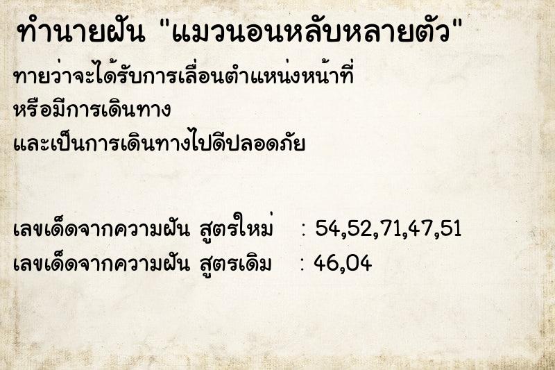 ทำนายฝันทำนายฝันแมวนอนหลับหลายตัว