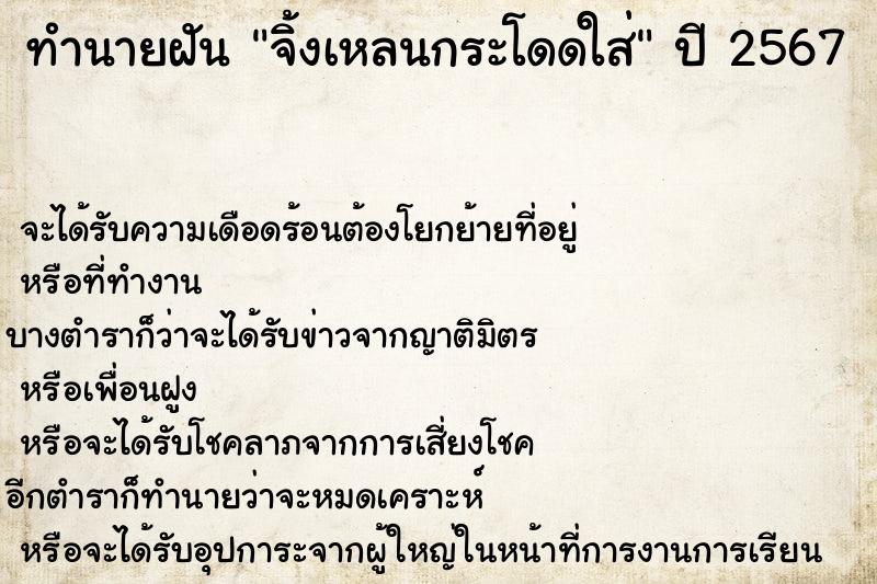 ทำนายฝัน จิ้งเหลนกระโดดใส่ ทำนายฝัน จิ้งเหลนกระโดดใส่