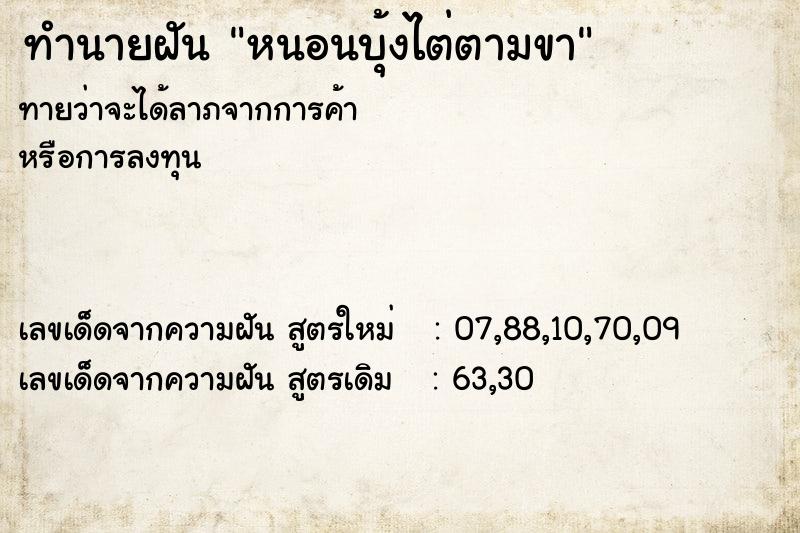 ทำนายฝันหนอนบุ้งไต่ตามขา ทำนายฝันทำนายฝันหนอนบุ้งไต่ตามขา