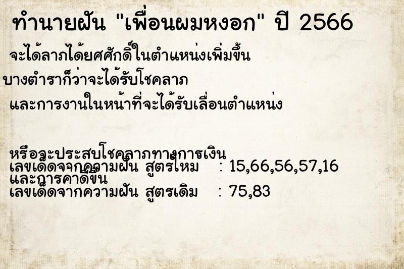 ทำนายฝัน เพื่อนผมหงอก ทำนายฝัน เพื่อนผมหงอก