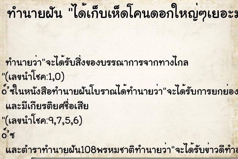 ทำนายฝัน ได้เก็บเห็ดโคนดอกใหญ่ๆเยอะมาก