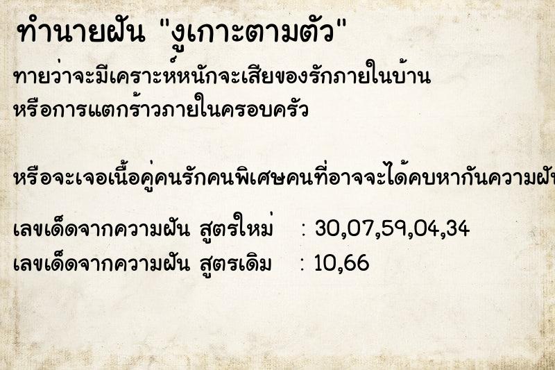 ทำนายฝันทำนายฝันงูเกาะตามตัว