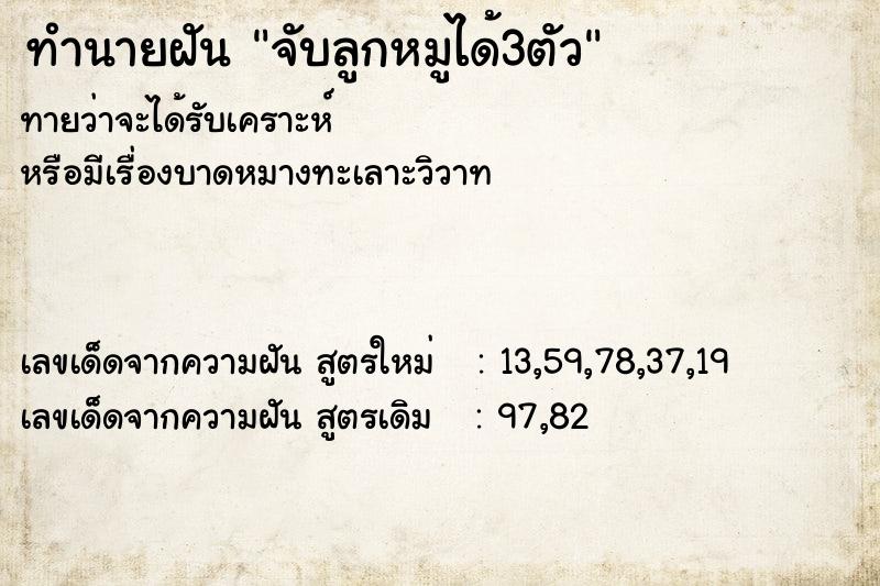 ทำนายฝันจับลูกหมูได้3ตัว ทำนายฝันทำนายฝันจับลูกหมูได้3ตัว