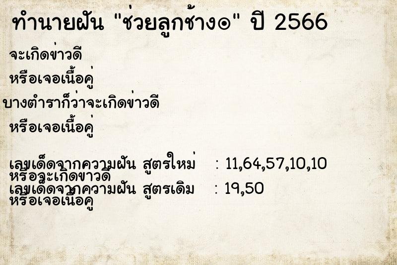 ทำนายฝันช่วยลูกช้างï ทำนายฝันทำนายฝันช่วยลูกช้างï