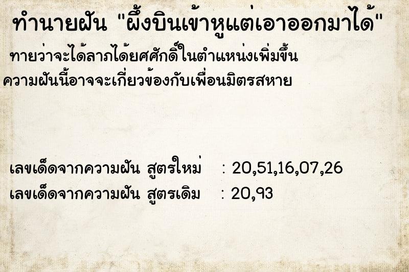 ทำนายฝันผึ้งบินเข้าหูแต่เอาออกมาได้ ทำนายฝันทำนายฝันผึ้งบินเข้าหูแต่เอาออกมาได้