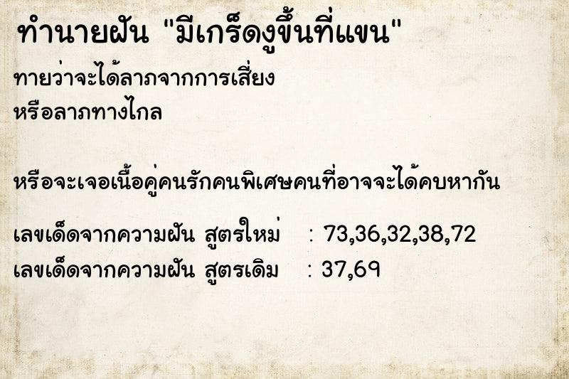 ทำนายฝันมีเกร็ดงูขึ้นที่แขน ทำนายฝันทำนายฝันมีเกร็ดงูขึ้นที่แขน