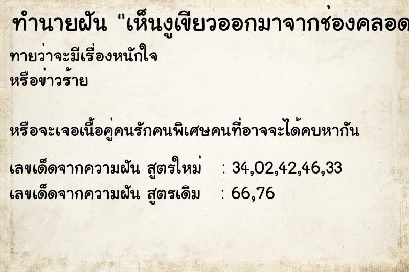 ทำนายฝันเห็นงูเขียวออกมาจากช่องคลอด ทำนายฝันทำนายฝันเห็นงูเขียวออกมาจากช่องคลอด