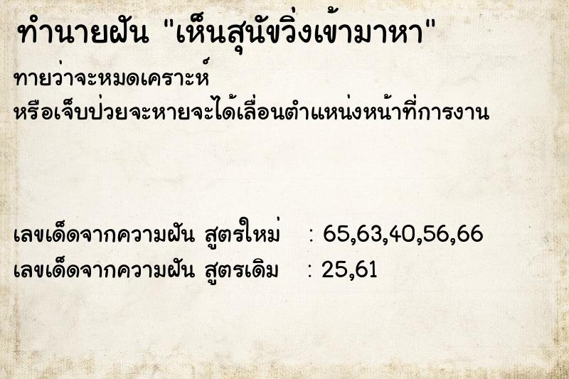 ทำนายฝันทำนายฝันเห็นสุนัขวิ่งเข้ามาหา