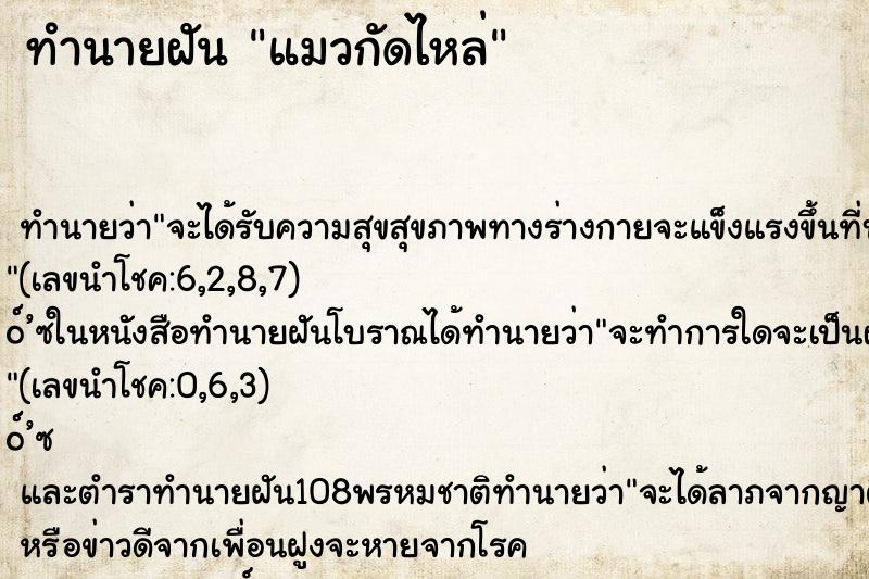 ทำนายฝันแมวกัดไหล่ ทำนายฝันทำนายฝันแมวกัดไหล่