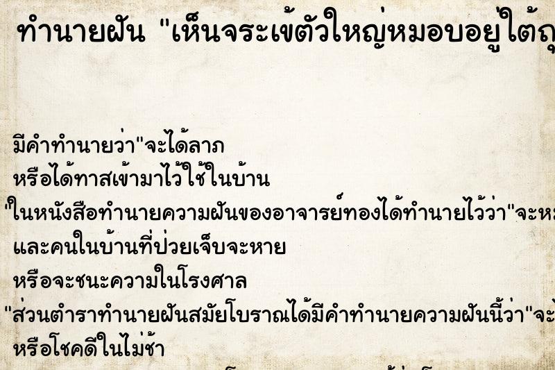 ทำนายฝัน เห็นจระเข้ตัวใหญ่หมอบอยู่ใต้ถุนบ้าน ตำราโบราณ แม่นที่สุดในโลก