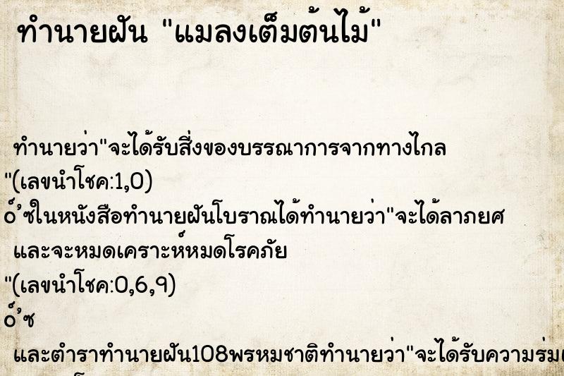ทำนายฝันทำนายฝันแมลงเต็มต้นไม้