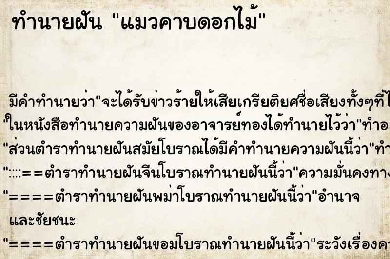 ทำนายฝันทำนายฝันแมวคาบดอกไม้