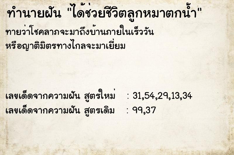 ทำนายฝันทำนายฝันได้ช่วยชีวิตลูกหมาตกน้ำ