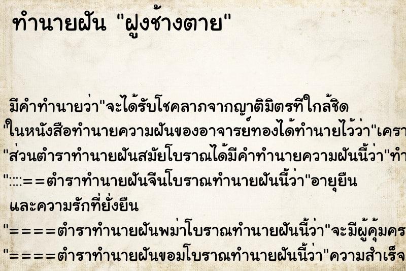ทำนายฝันฝูงช้างตาย ทำนายฝันทำนายฝันฝูงช้างตาย