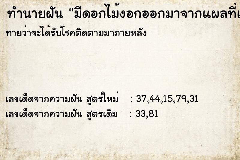 ทำนายฝันมีดอกไม้งอกออกมาจากแผลที่เท้า ทำนายฝันทำนายฝันมีดอกไม้งอกออกมาจากแผลที่เท้า