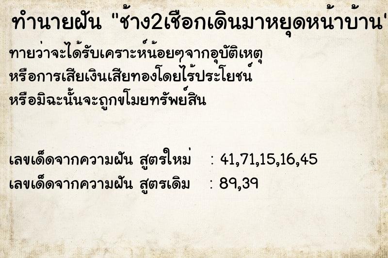 ทำนายฝัน ช้าง2เชือกเดินมาหยุดหน้าบ้าน ทำนายฝัน ช้าง2เชือกเดินมาหยุดหน้าบ้าน
