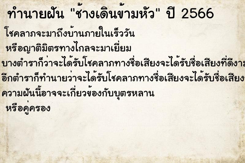 ทำนายฝันทำนายฝันช้างเดินข้ามหัว