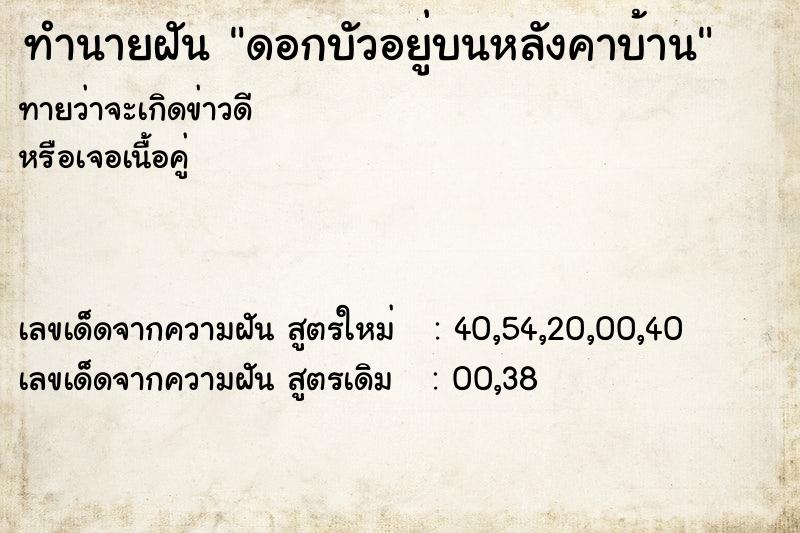 ทำนายฝันดอกบัวอยู่บนหลังคาบ้าน ทำนายฝันทำนายฝันดอกบัวอยู่บนหลังคาบ้าน