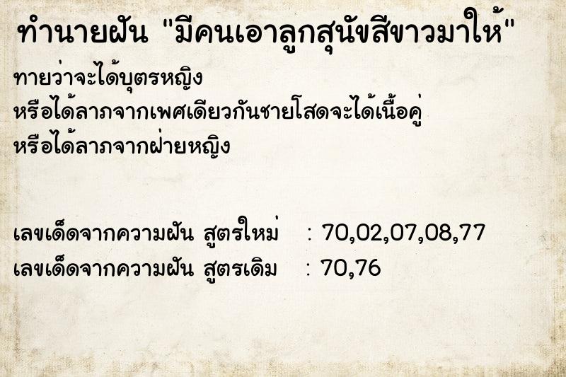 ทำนายฝันมีคนเอาลูกสุนัขสีขาวมาให้ ทำนายฝันทำนายฝันมีคนเอาลูกสุนัขสีขาวมาให้