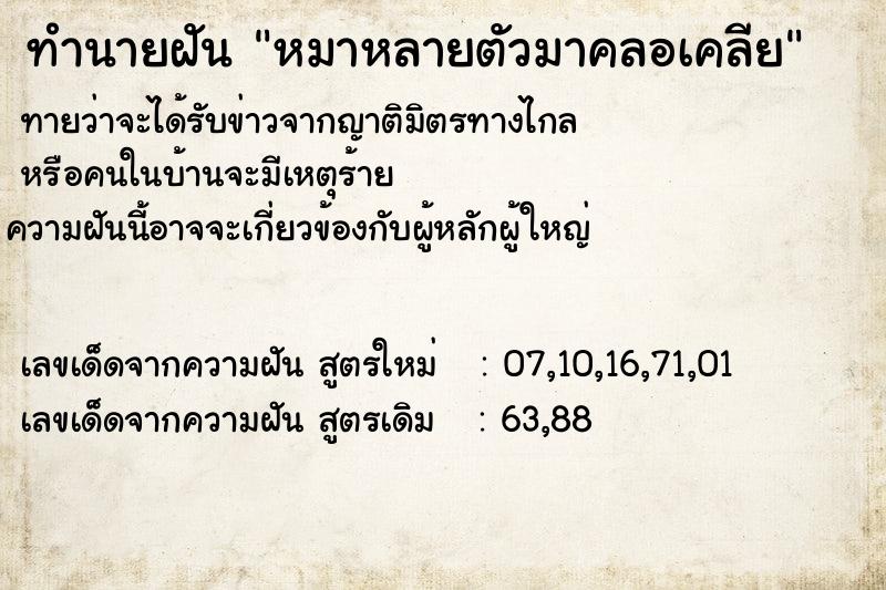 ทำนายฝันทำนายฝันหมาหลายตัวมาคลอเคลีย