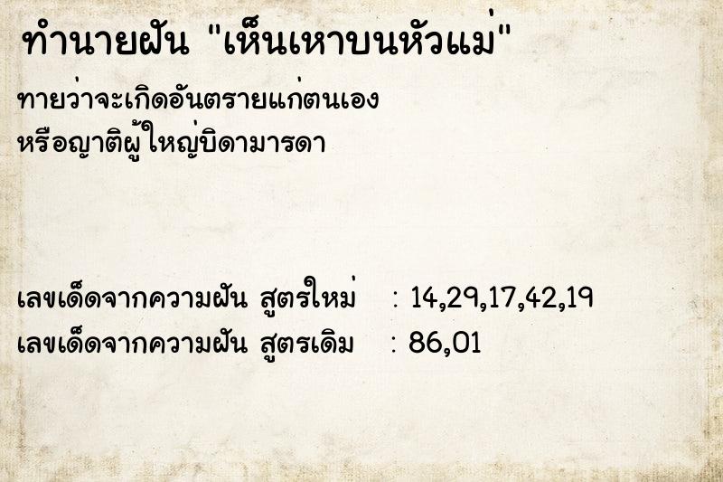 ทำนายฝัน เห็นเหาบนหัวแม่ ทำนายฝัน เห็นเหาบนหัวแม่