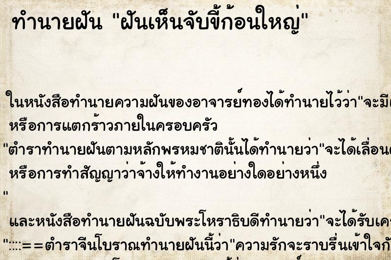 ทำนายฝันฝันเห็นจับขี้ก้อนใหญ่ ทำนายฝันทำนายฝันฝันเห็นจับขี้ก้อนใหญ่