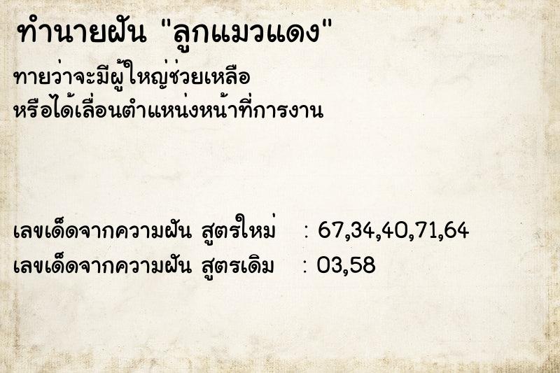 ทำนายฝันลูกแมวแดง ทำนายฝันทำนายฝันลูกแมวแดง