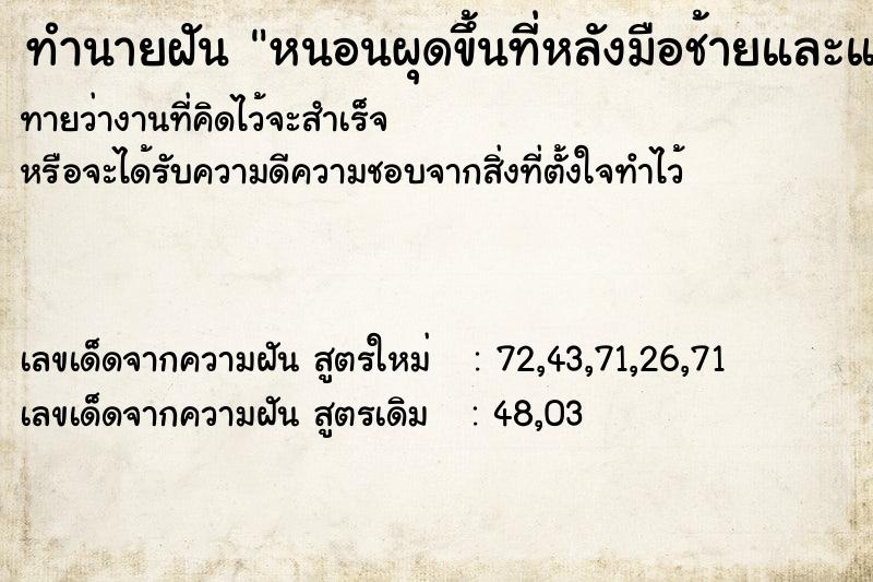 ทำนายฝันทำนายฝันหนอนผุดขึ้นที่หลังมือช้ายและแขน2ข้าง