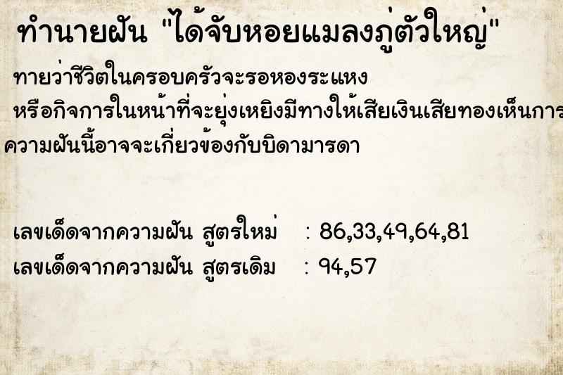 ทำนายฝันทำนายฝันได้จับหอยแมลงภู่ตัวใหญ่