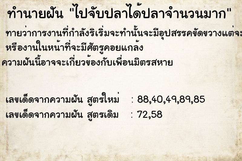 ทำนายฝันทำนายฝันไปจับปลาได้ปลาจำนวนมาก