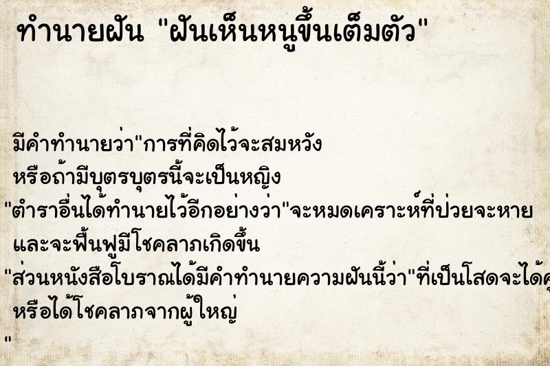 ทำนายฝันทำนายฝันฝันเห็นหนูขึ้นเต็มตัว