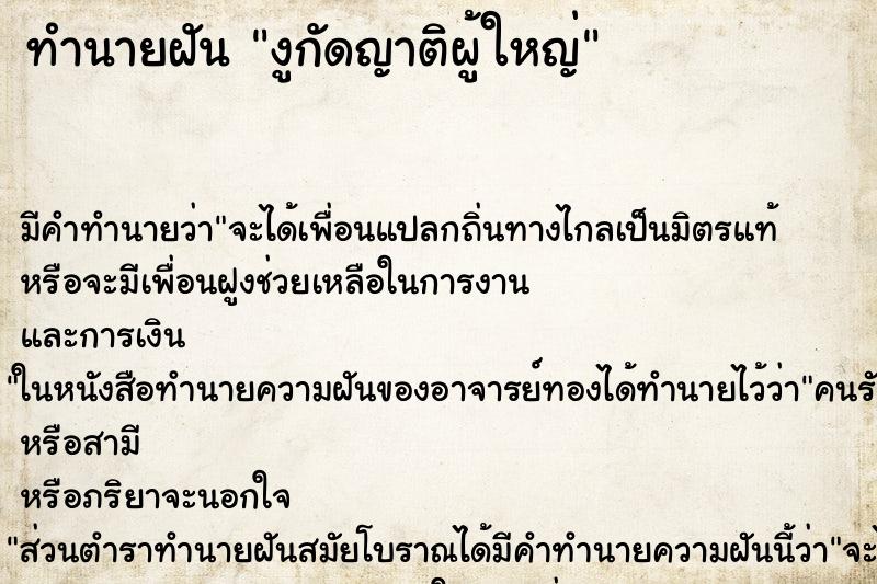 ทำนายฝันงูกัดญาติผู้ใหญ่ ทำนายฝันทำนายฝันงูกัดญาติผู้ใหญ่