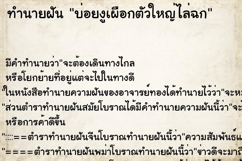 ทำนายฝัน บ่อยงูเผือกตัวใหญ่ไล่ฉก ทำนายฝัน บ่อยงูเผือกตัวใหญ่ไล่ฉก
