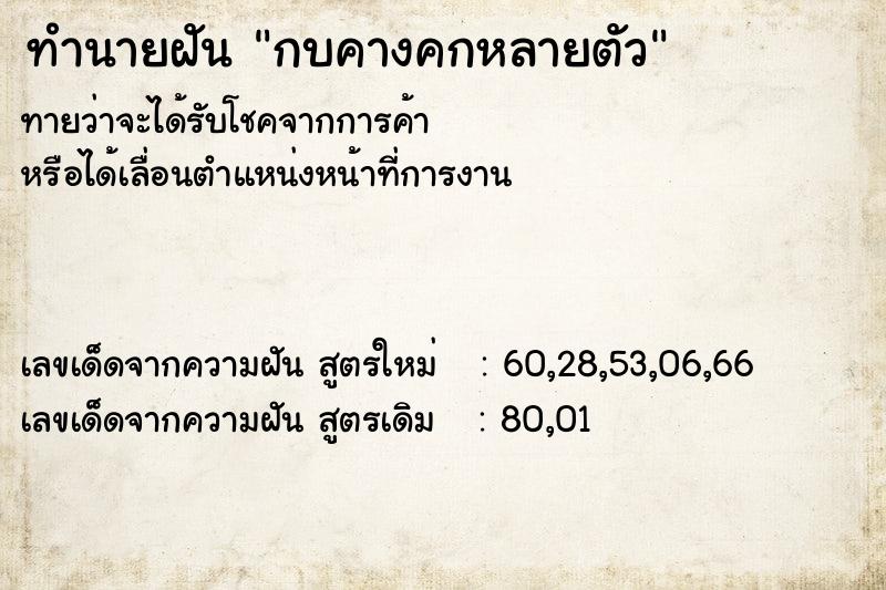 ทำนายฝันทำนายฝันกบคางคกหลายตัว