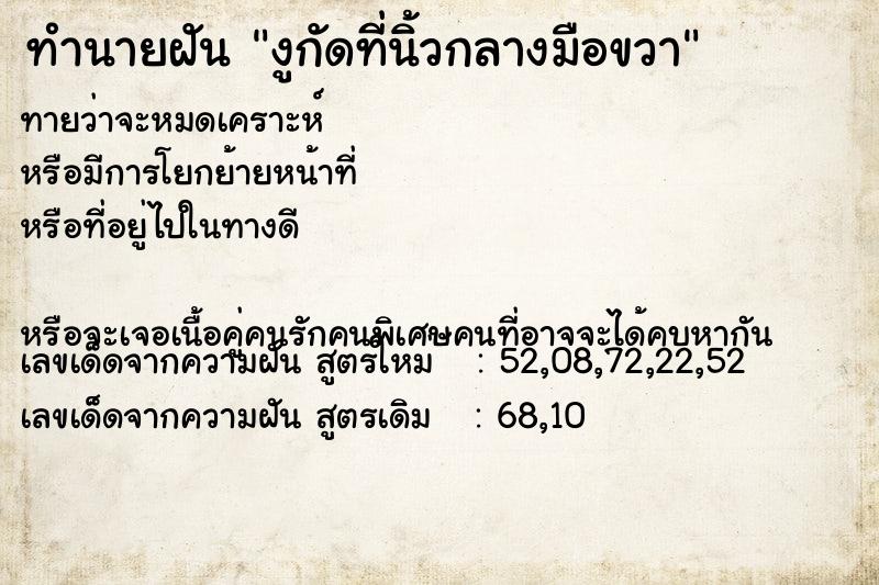 ทำนายฝันทำนายฝันงูกัดที่นิ้วกลางมือขวา