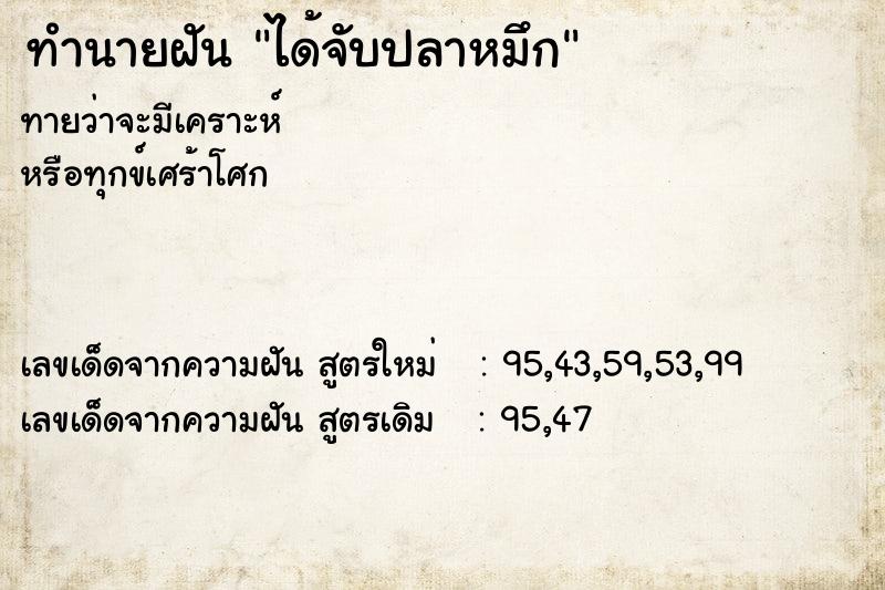 ทำนายฝันได้จับปลาหมึก ทำนายฝันทำนายฝันได้จับปลาหมึก