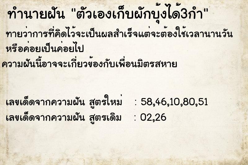 ทำนายฝันทำนายฝันตัวเองเก็บผักบุ้งได้3กำ