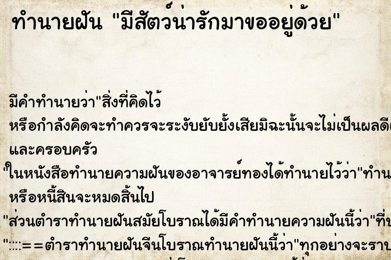 ทำนายฝัน มีสัตว์น่ารักมาขออยู่ด้วย ทำนายฝัน มีสัตว์น่ารักมาขออยู่ด้วย