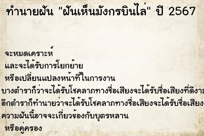 ทำนายฝันฝันเห็นมังกรบินไล่ ทำนายฝันทำนายฝันฝันเห็นมังกรบินไล่