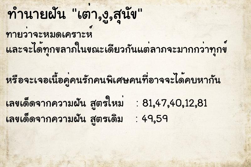 ทำนายฝันเต่า,งู,สุนัข ทำนายฝันทำนายฝันเต่า,งู,สุนัข