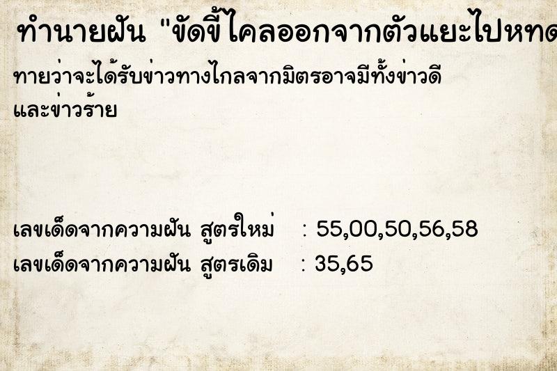 ทำนายฝันขัดขี้ไคลออกจากตัวแยะไปหทด ทำนายฝันทำนายฝันขัดขี้ไคลออกจากตัวแยะไปหทด