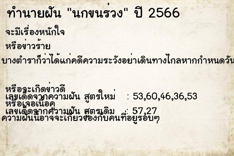 ทำนายฝันนกขนร่วง ทำนายฝันทำนายฝันนกขนร่วง