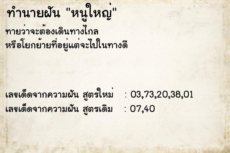 ทำนายฝันหนูใหญ่ ทำนายฝันทำนายฝันหนูใหญ่